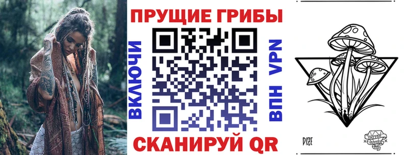 где найти наркотики  Клинцы  Галлюциногенные грибы GOLDEN TEACHER 