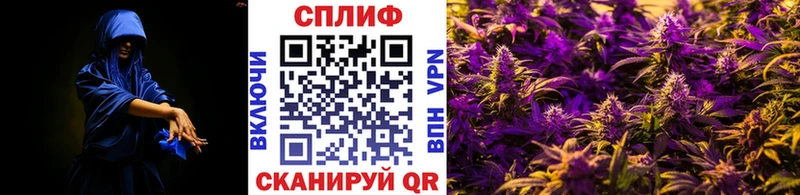 Бошки Шишки конопля  Клинцы 